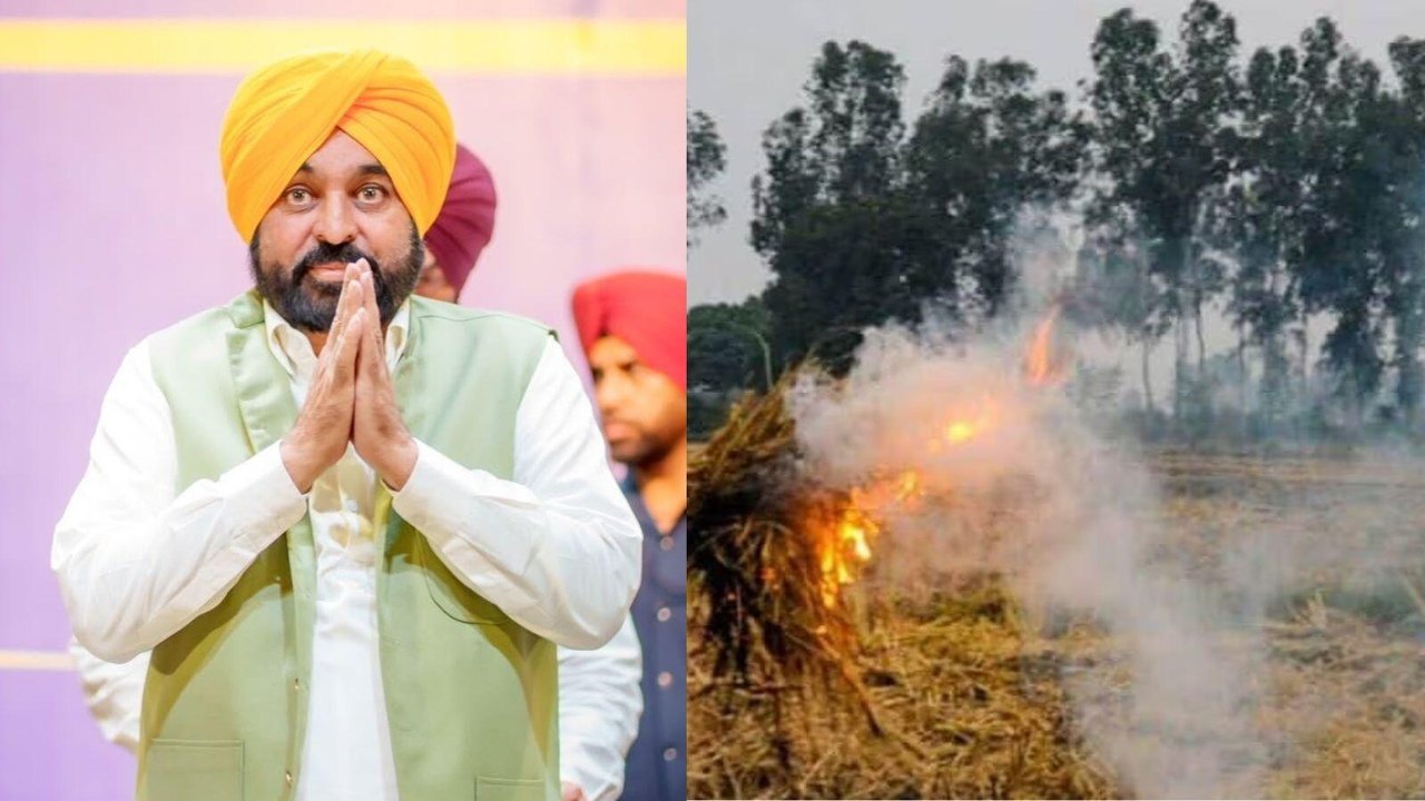 Punjab Reports Over 93% Decline in Stubble Burning Incidents, Official Data Shows
