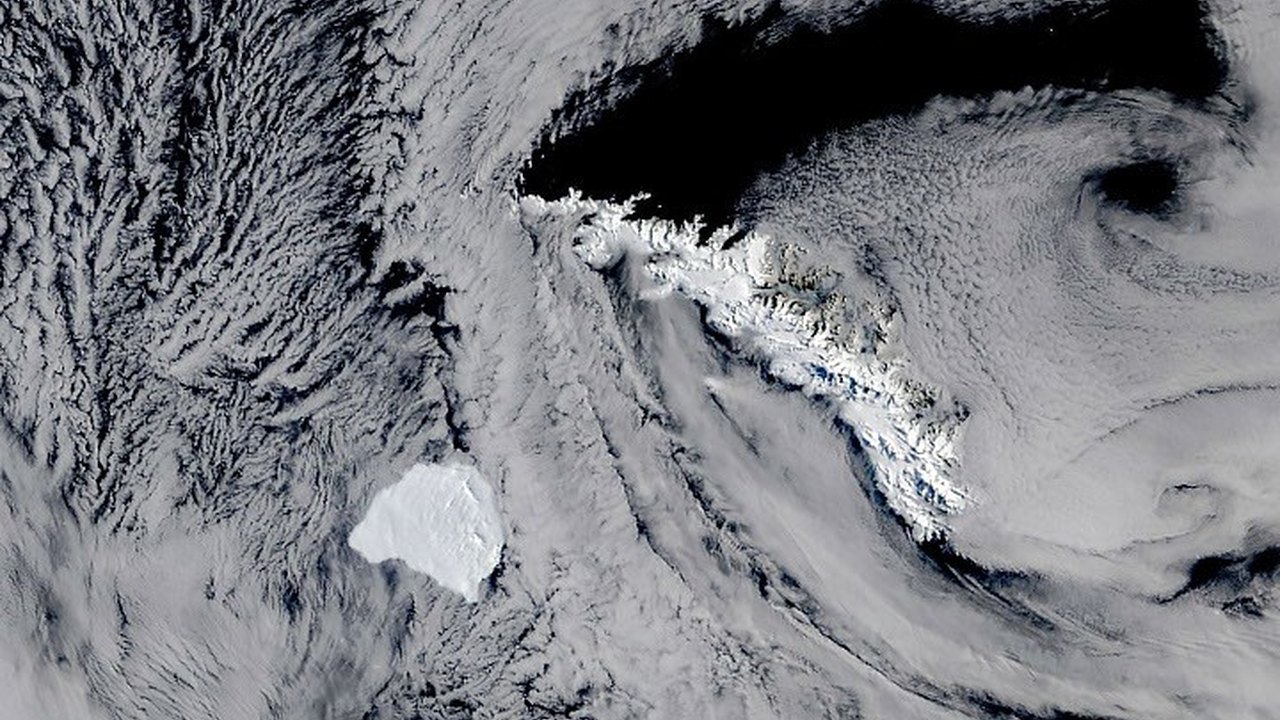 Massive Antarctic Iceberg A-81 Reaches South Georgia After Years at Sea