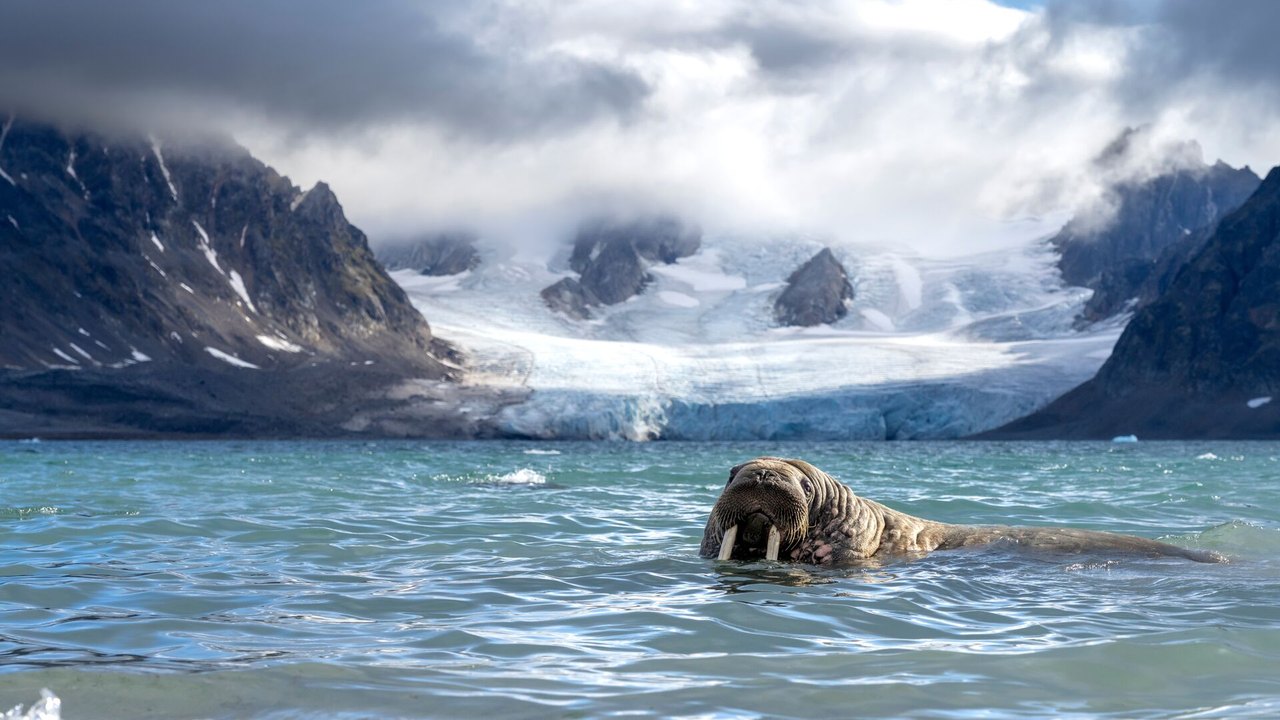 Exploring the Arctic: An Overview of the Svalbard Circumnavigation Expedition