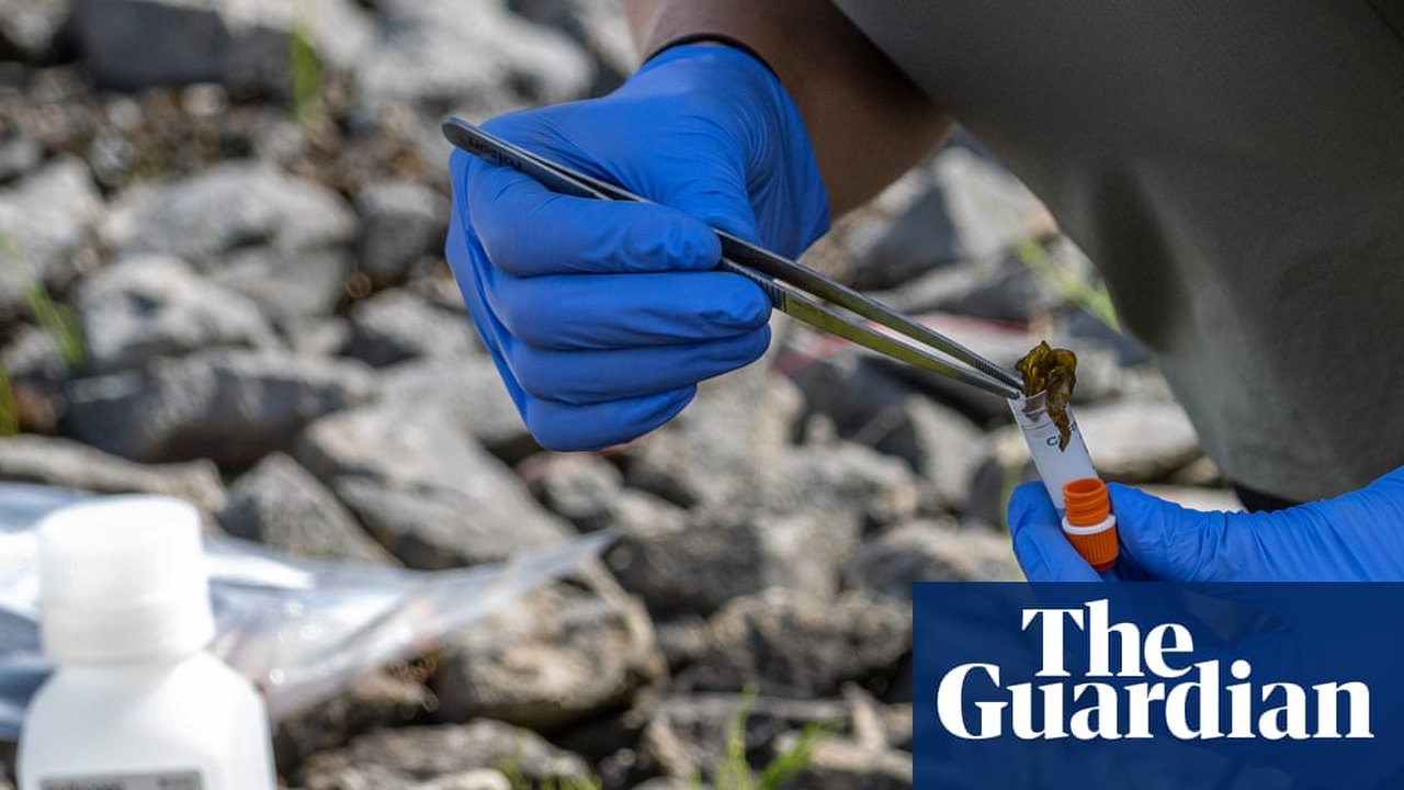 Cali Biodiversity Fund Still Empty as Pharma Companies Hold Back Contributions