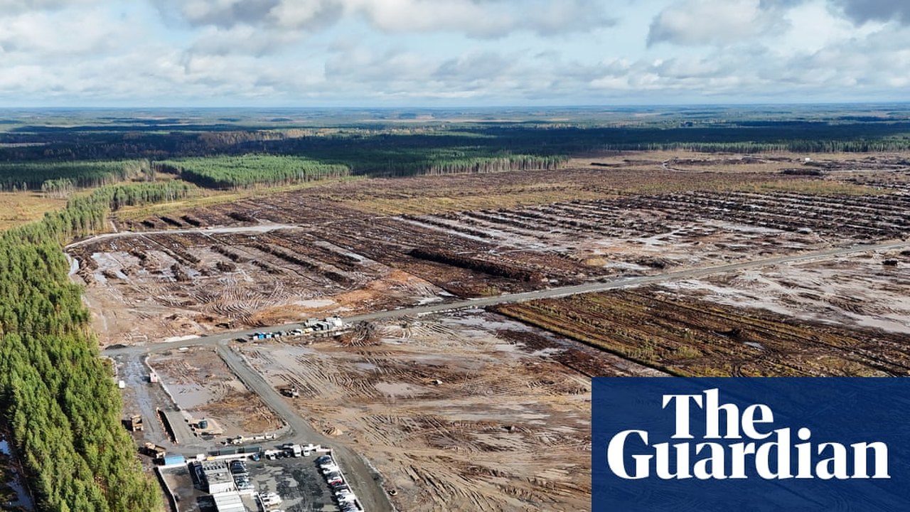 Finnish Police Launch Criminal Investigation Into Google Over Forest Clearing for Datacentre
