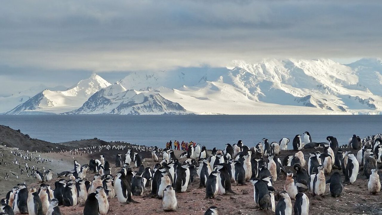 Intrepid Travel launches 10‑day Antarctic Peninsula Pure Expedition aboard the Ocean Victory