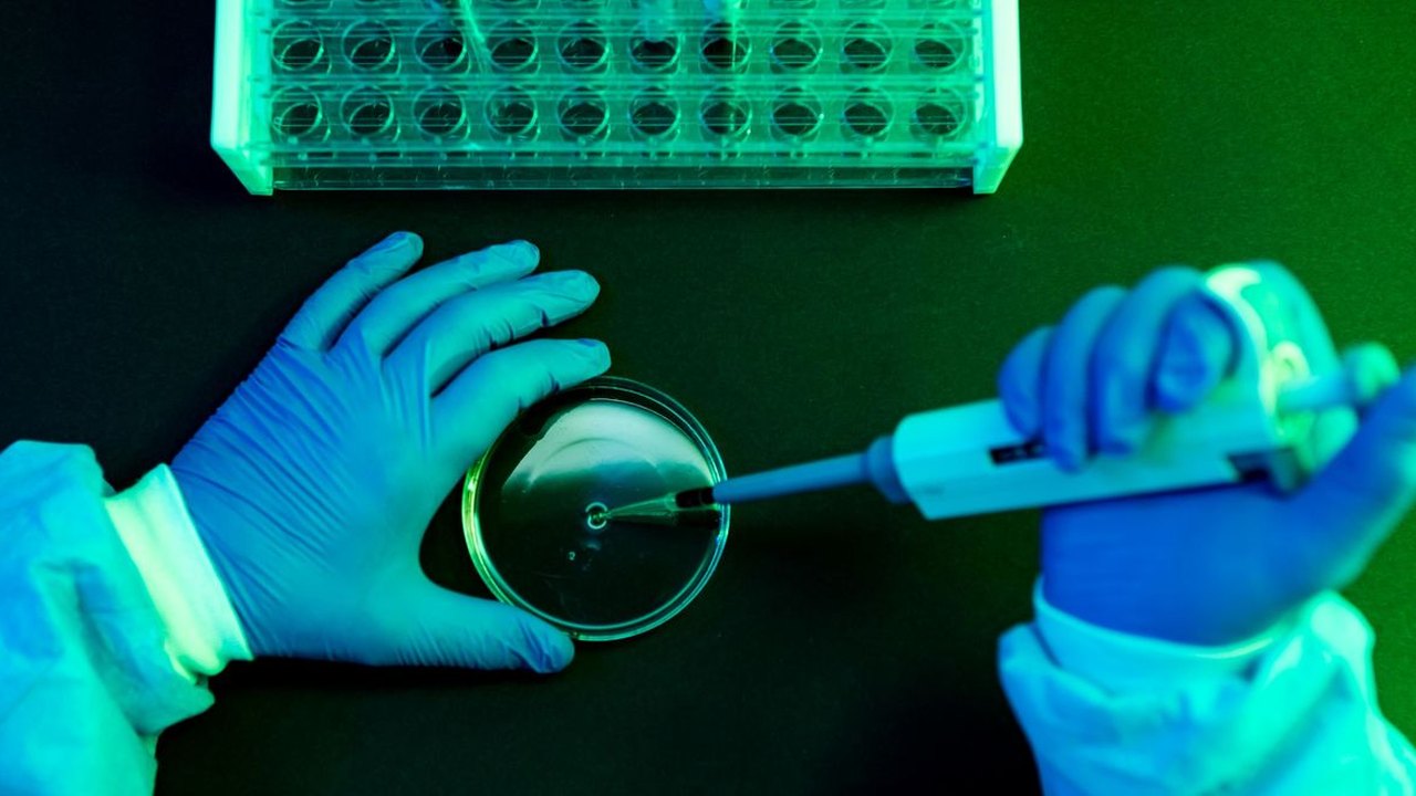 First Known Human Case of Shamonda Virus Confirmed in France Following Patient's Death