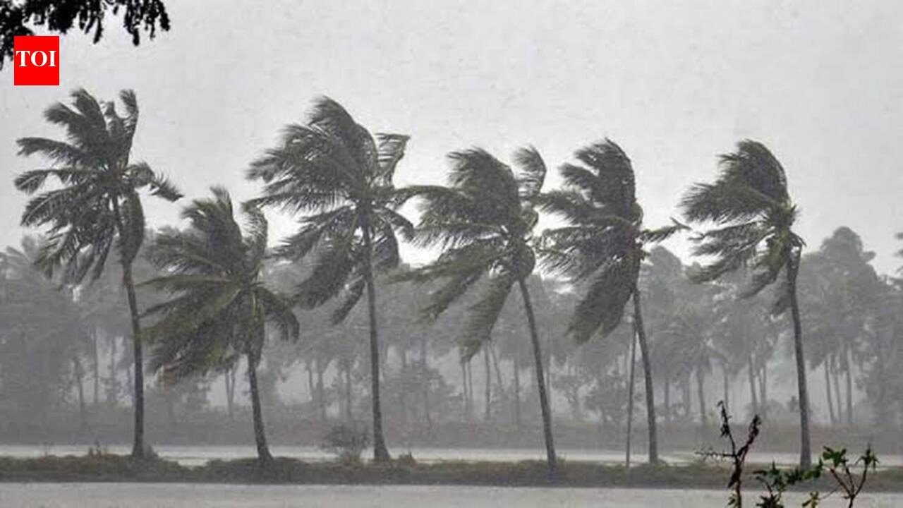 Cyclone Arnab: Schools and Colleges Closed in Parts of Tamil Nadu, Puducherry, and Karaikal
