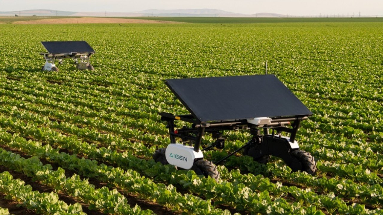 Ag-Tech Startup Aigen Cuts Robot Training Times Using AI-Generated Weeds